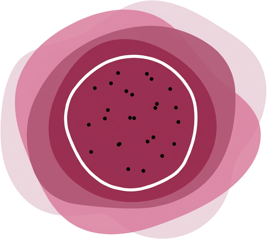 pyta